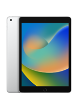 iPad (9.&nbsp;Generation)