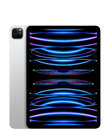 11" iPad Pro (4. Generation)