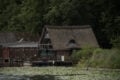 f/5,6, 190mm, 1/1.000s, ISO 400
