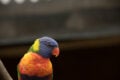 f/9, 300mm, 1/250s, ISO 640