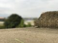 Tiefenschärfe-Test
