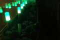 Farbeindrücke der Gardenpoles
